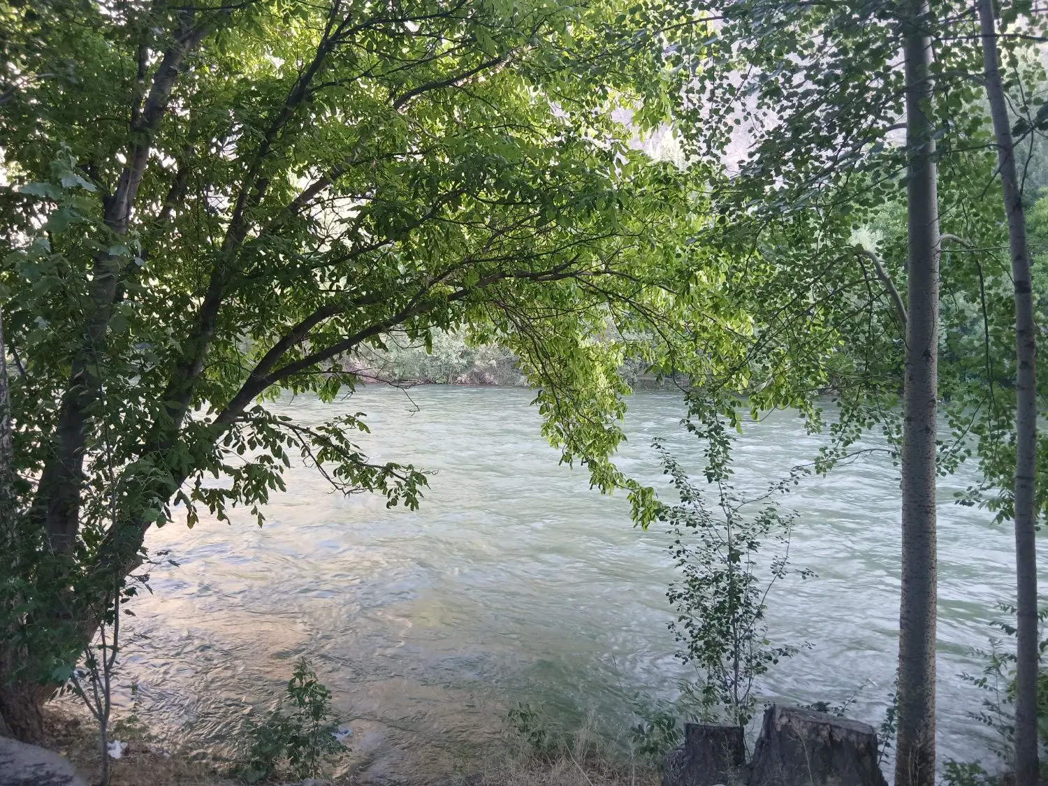 باغ ۷۰۰ متری لب رود خانه مارکده