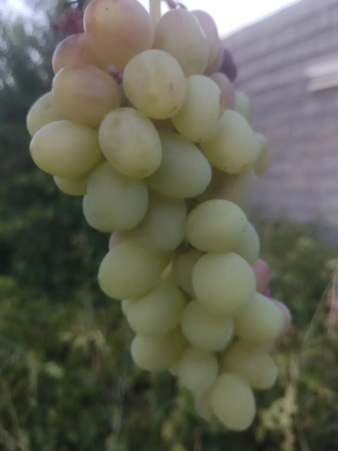 فروش ملک تجاری