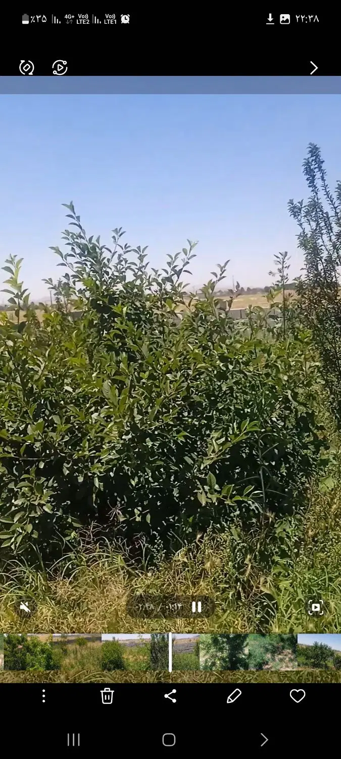 زمین باغ