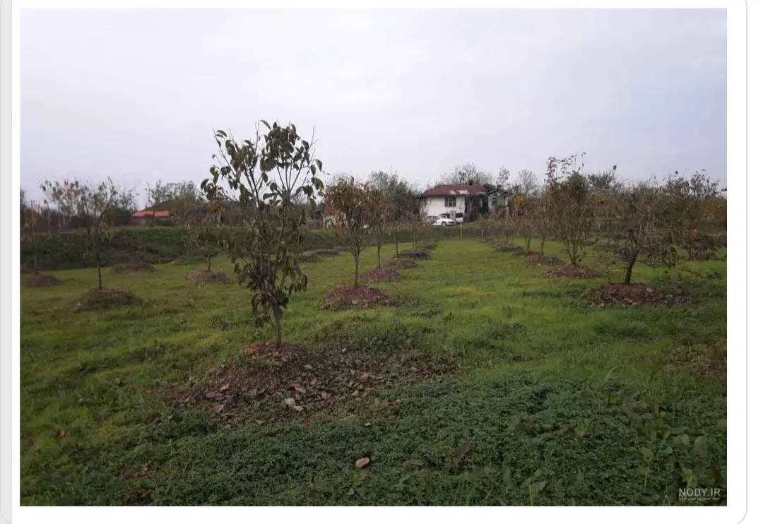 ملک تجاری -مسکونی،کشاورزی