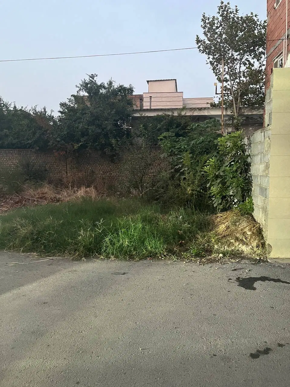 زمین مسکونی