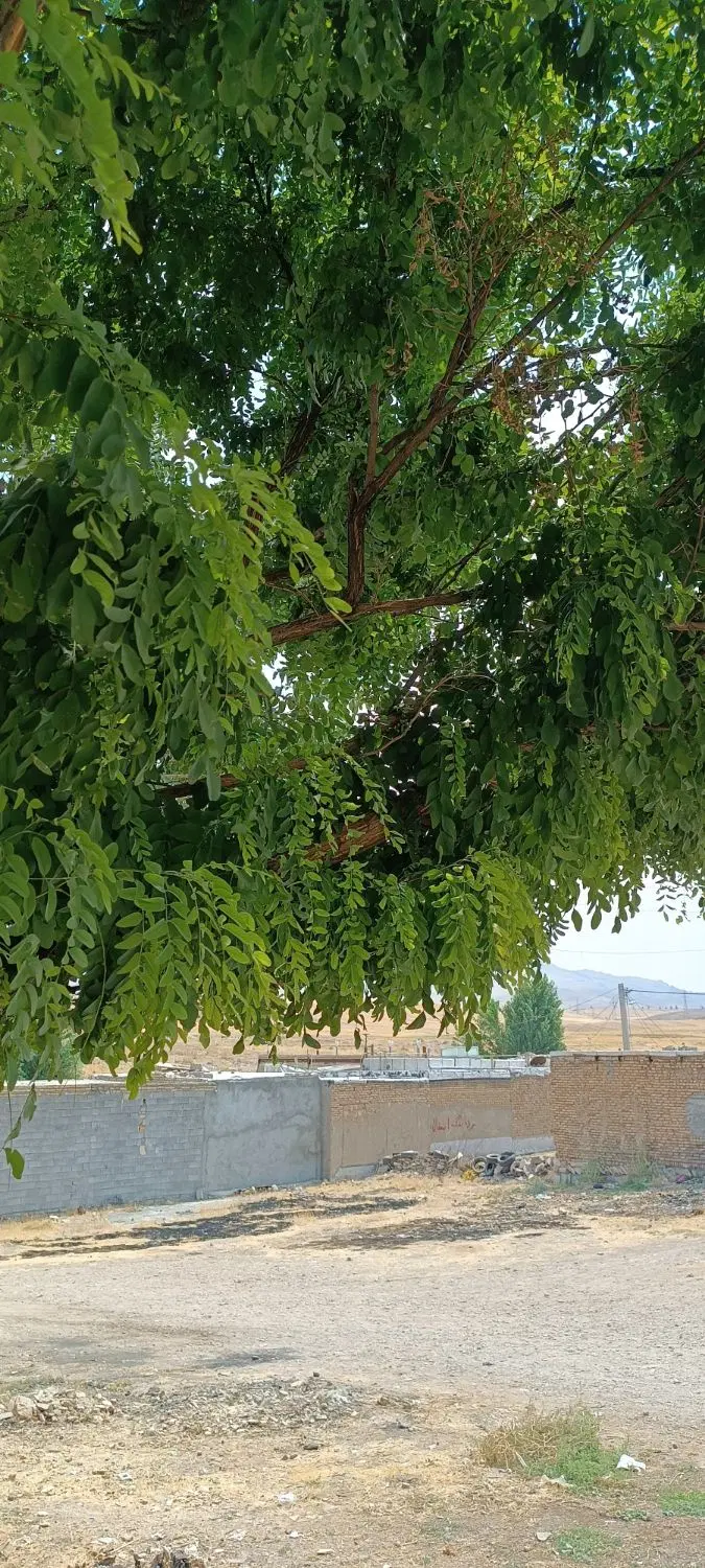 زمین شهرک بسیج فاز۲