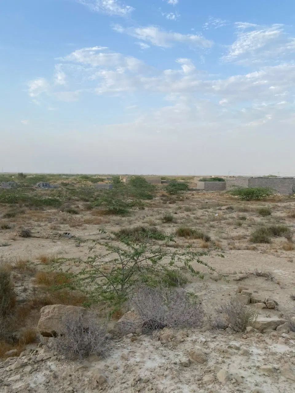 فروش زمین حومه چابعار روستای لکی سمت پتروشیمی