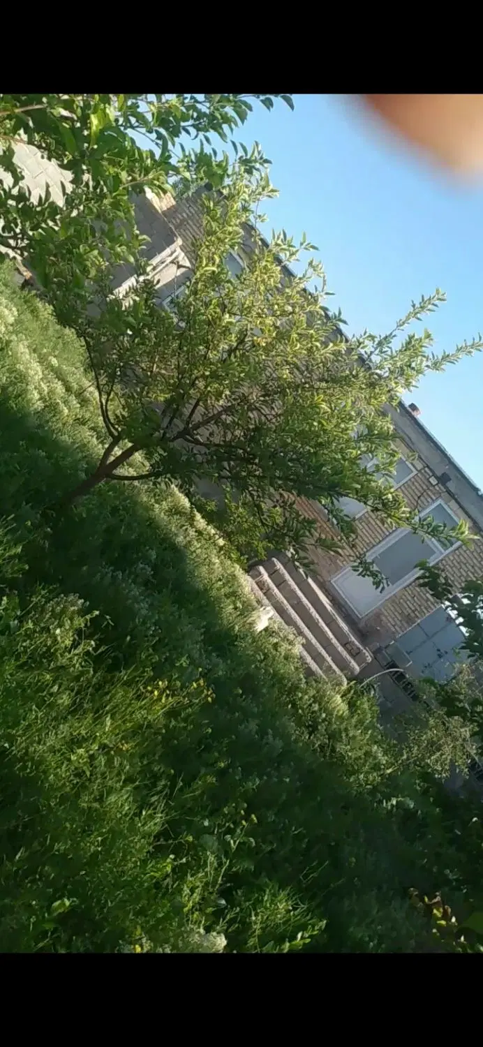 خانه ویلایی