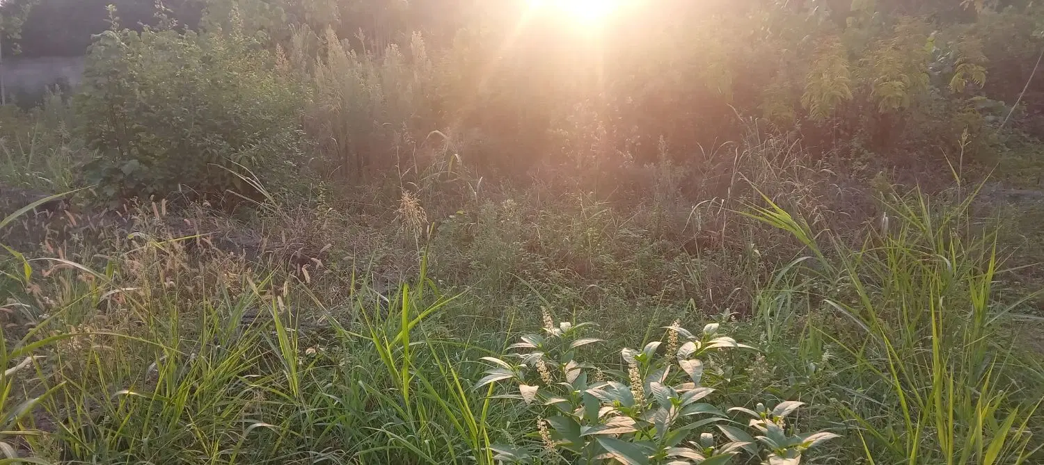 ۲۰۰ متر زمین مسکونی