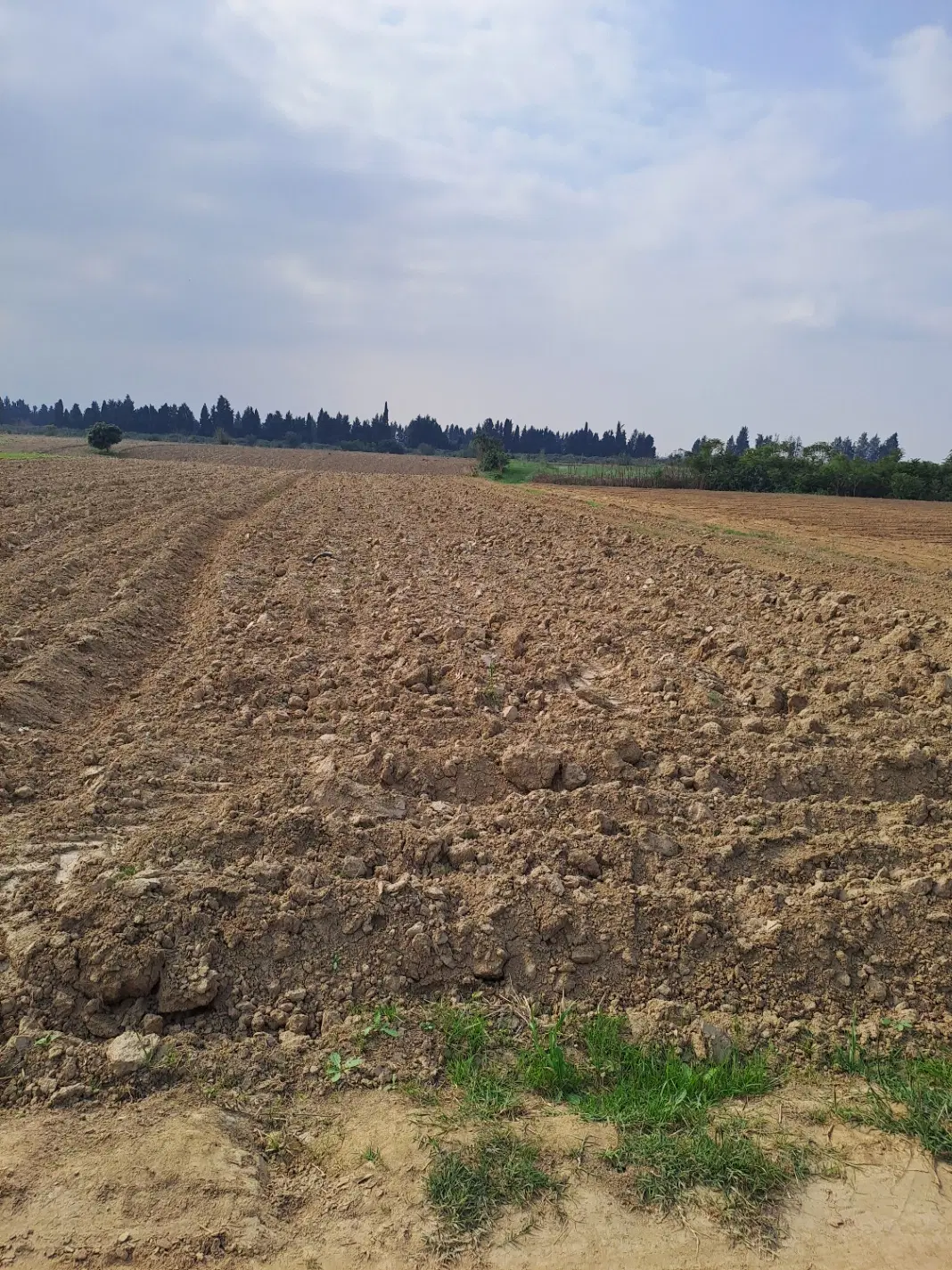 زمین کشاورزی ۱۰۰۰متر در روستای بالاجاده