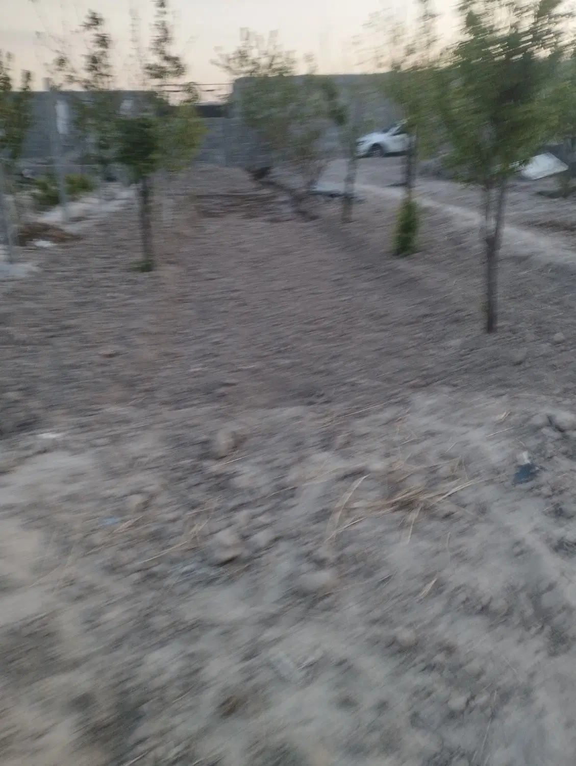 باغچه 476متری درختان میوه مثمر