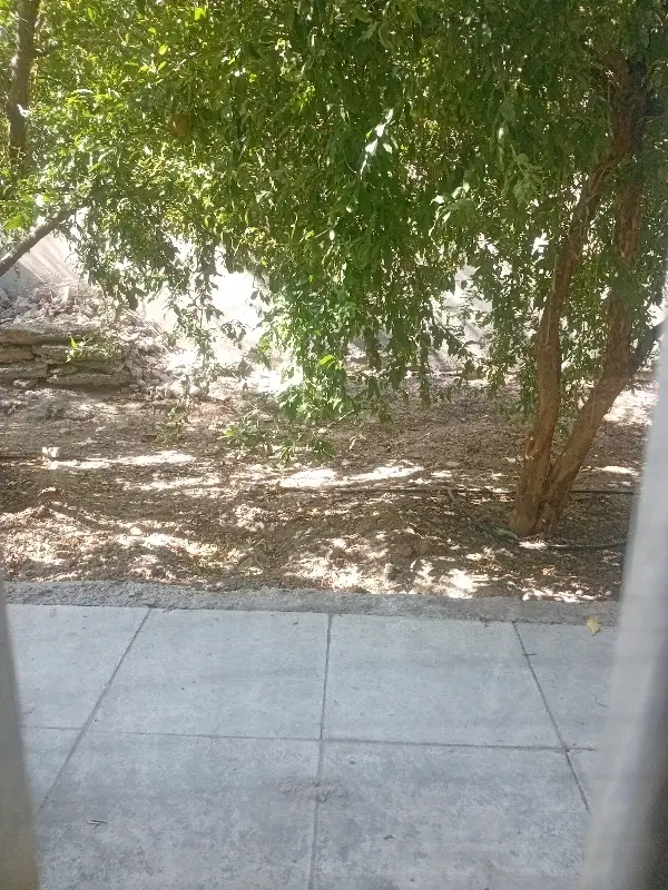 فروش زمین