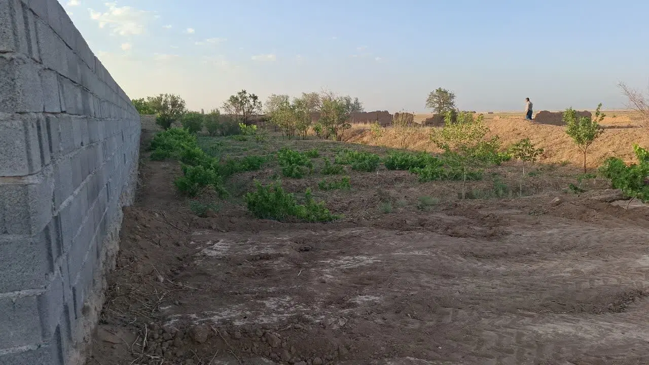 باغ میوه و انگور