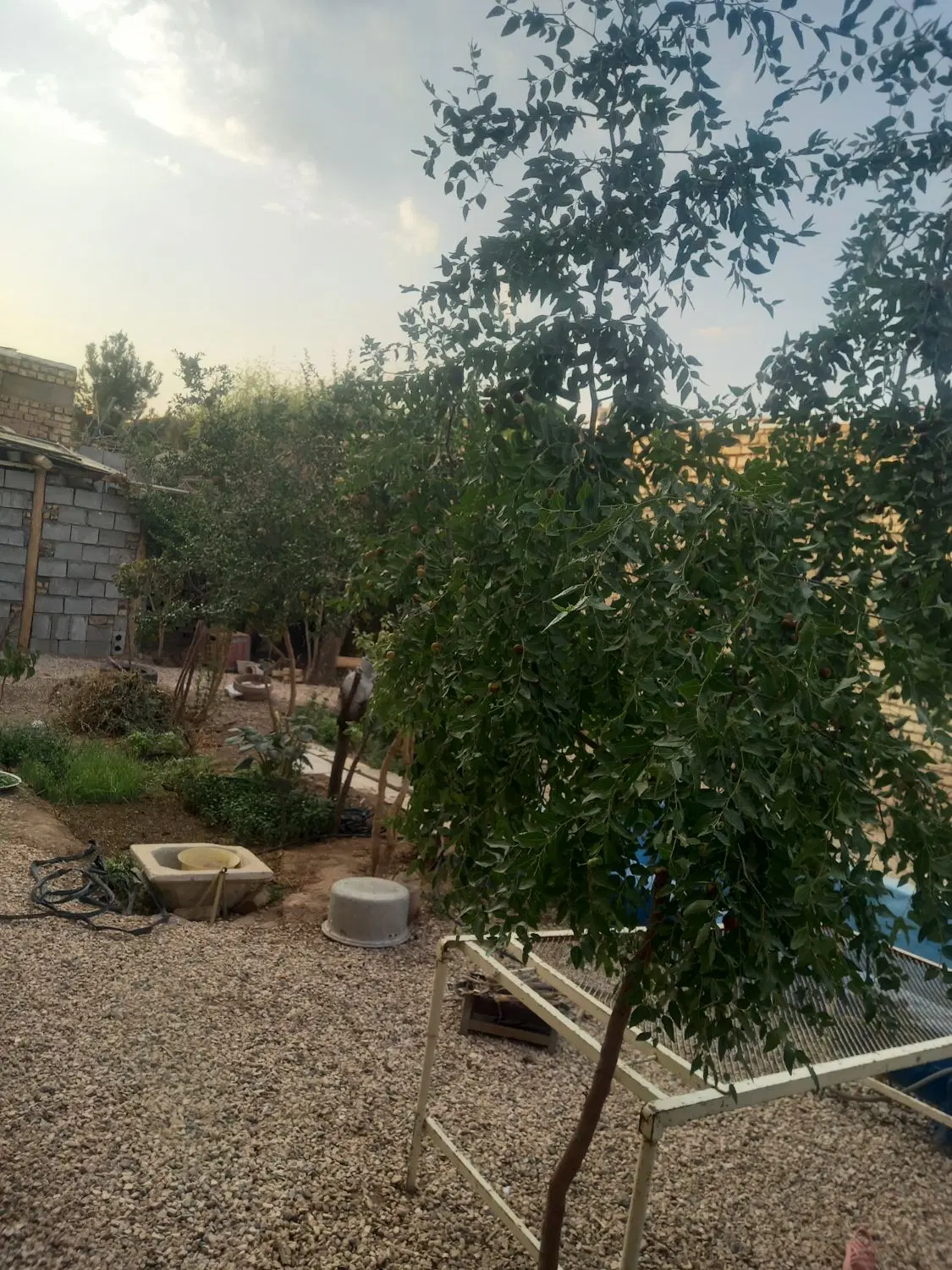 فروش منزل مسکونی باغی