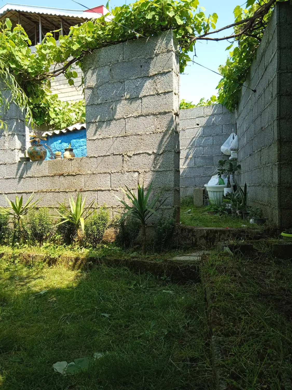 زمین مسکونی