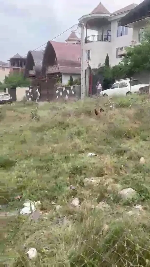 ۵۰۰متر زمین داخل بافت مسکونی