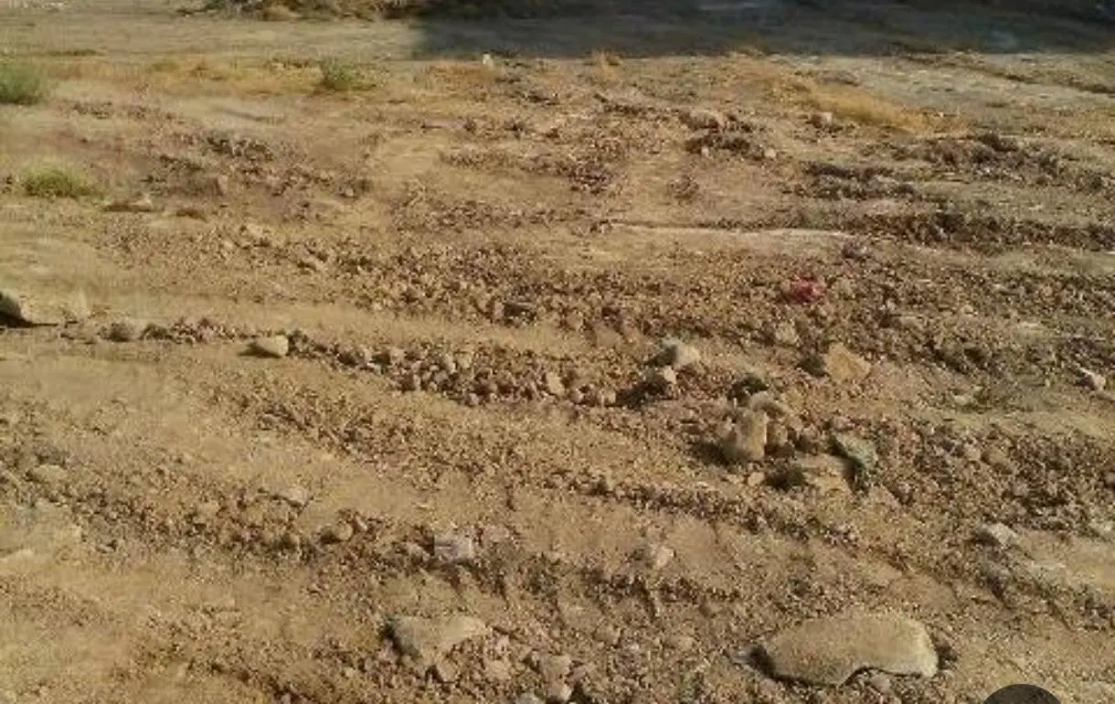فروش زمین گناوه