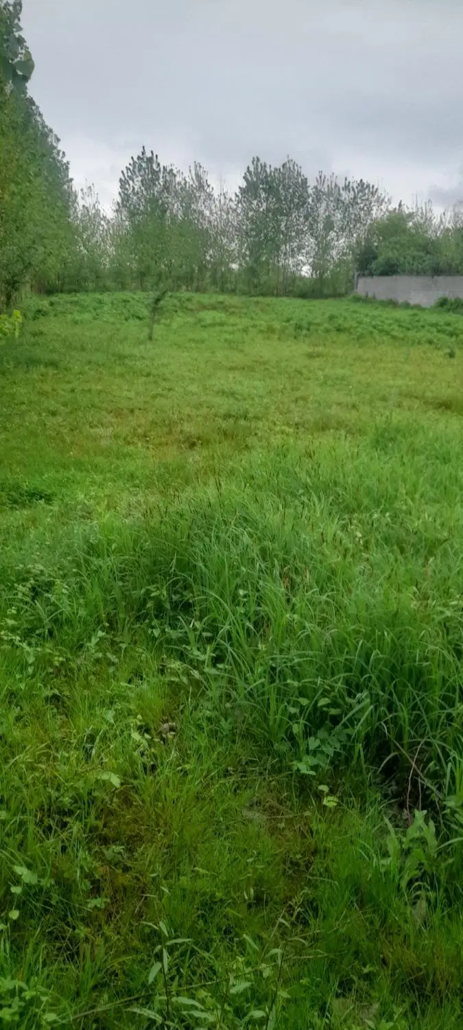 زمین باغی ۳۰۰ متر قابل ساخت