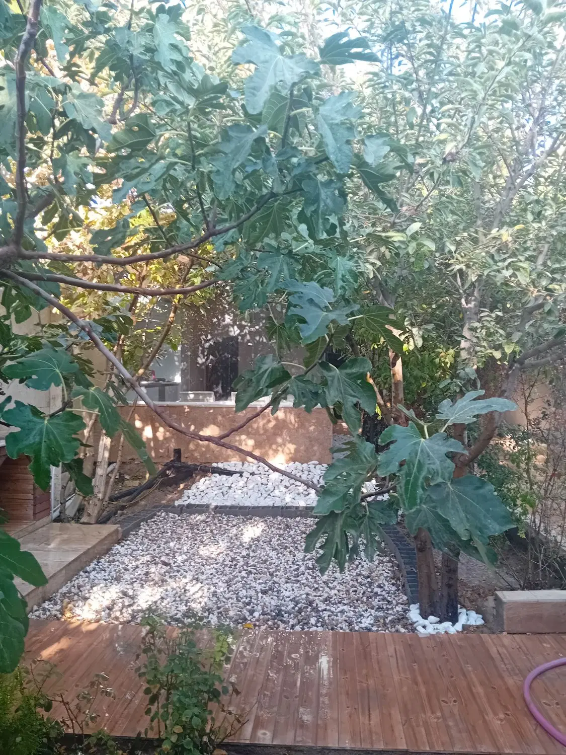 اجاره باغ ویلا