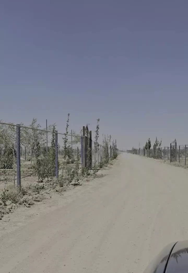 فروش باغ و ویلا و زمین