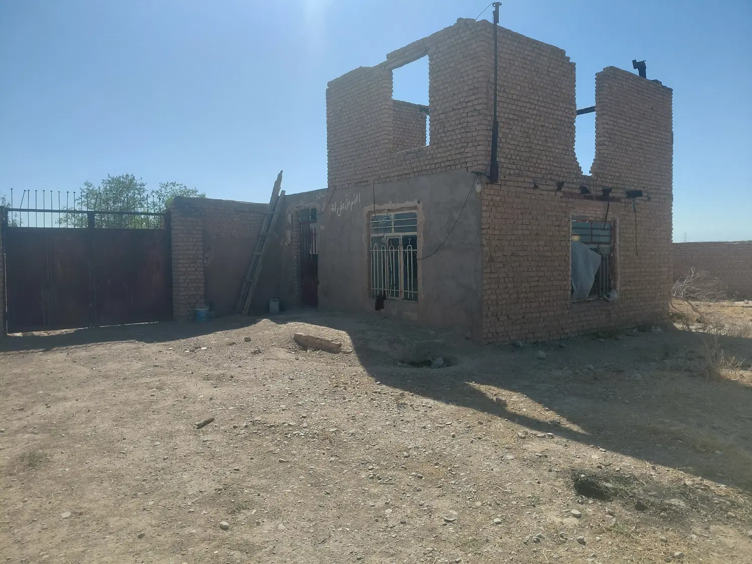 دامداری 500راَسی گوسفند