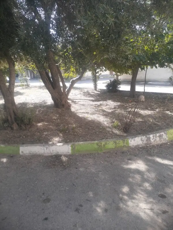 زمین تا ۲۰۰ متر داخل بافت نرسو