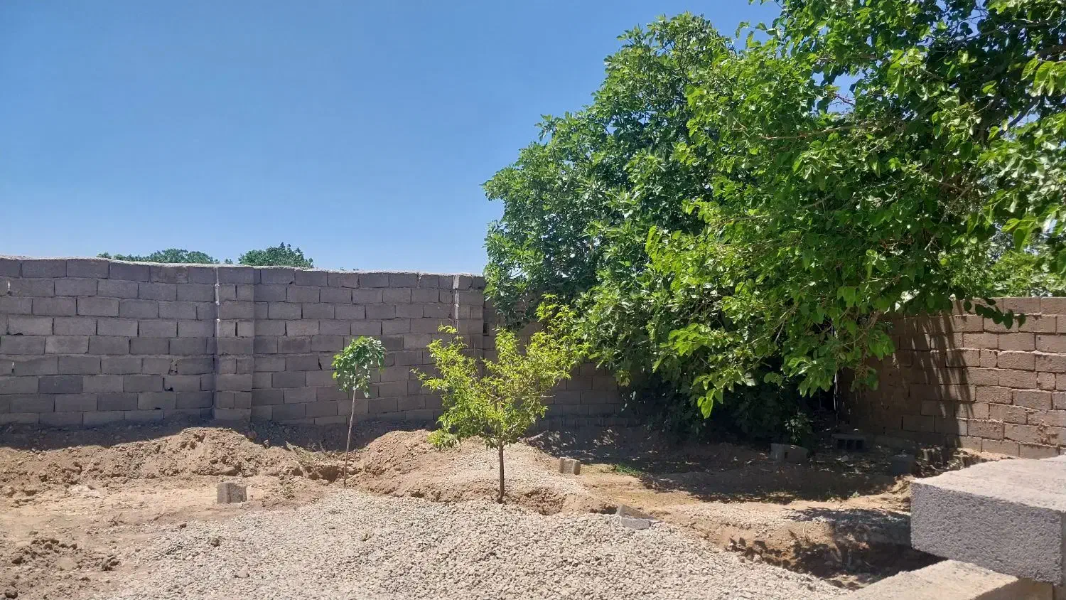 باغچه