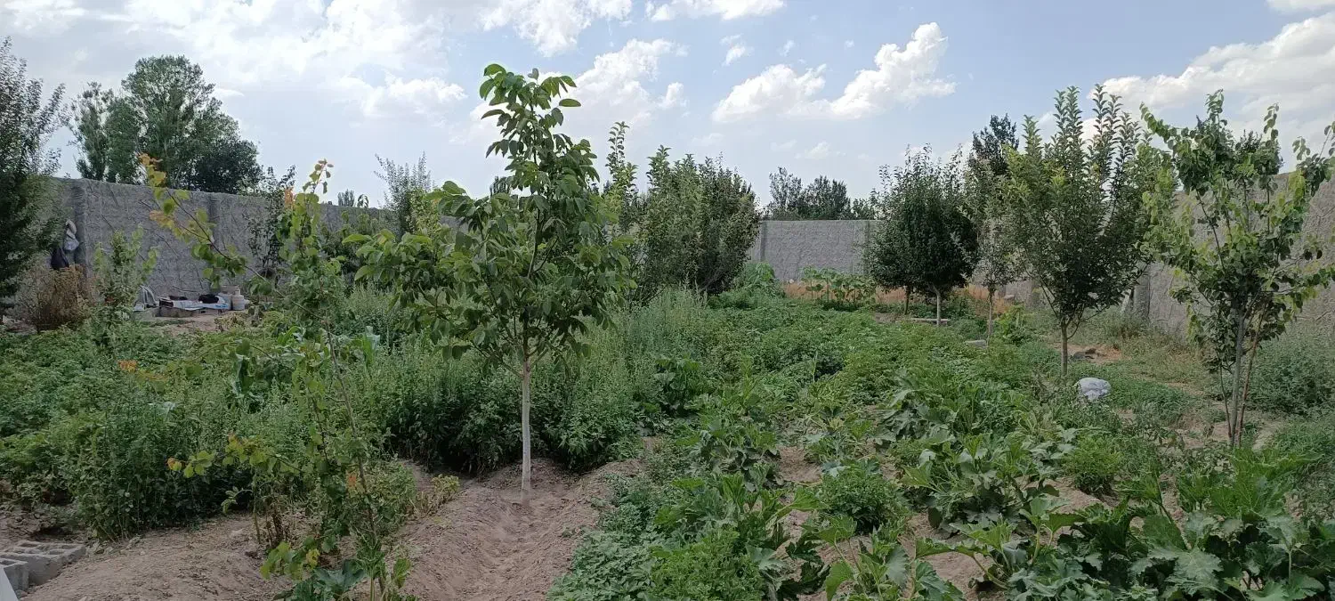 فروش باغ در کندرود