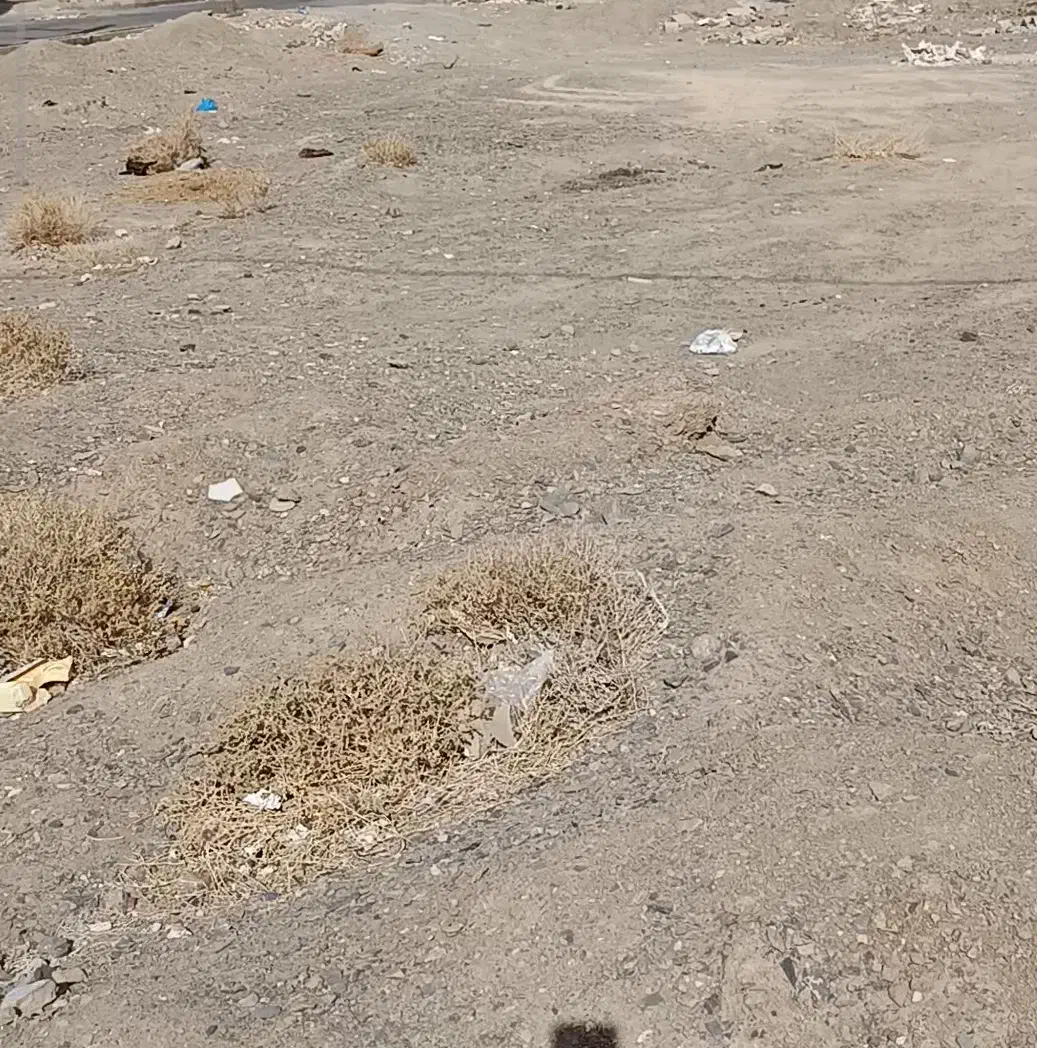 فروش زمین در ۱۸متری الزهرا غدیر شهر
