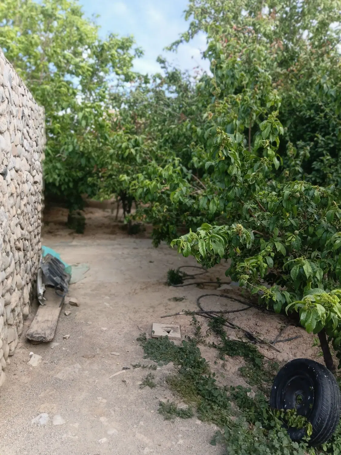 فروش خانه