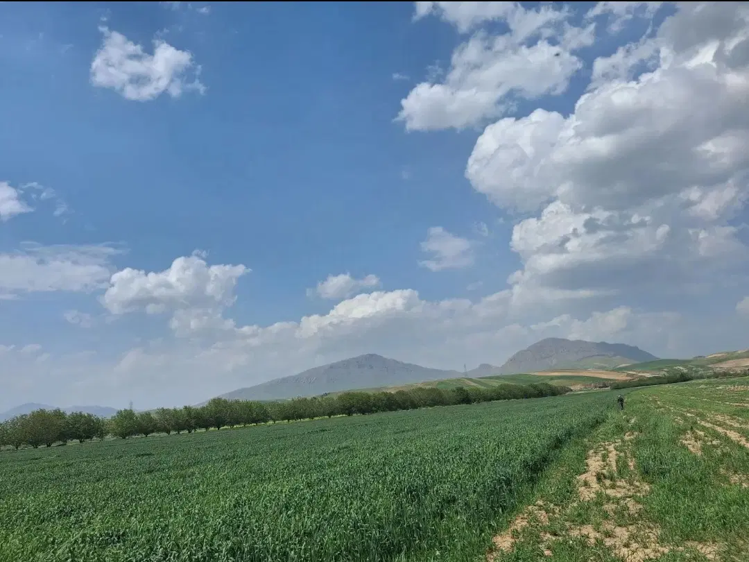 اجاره زمین کشاورزی