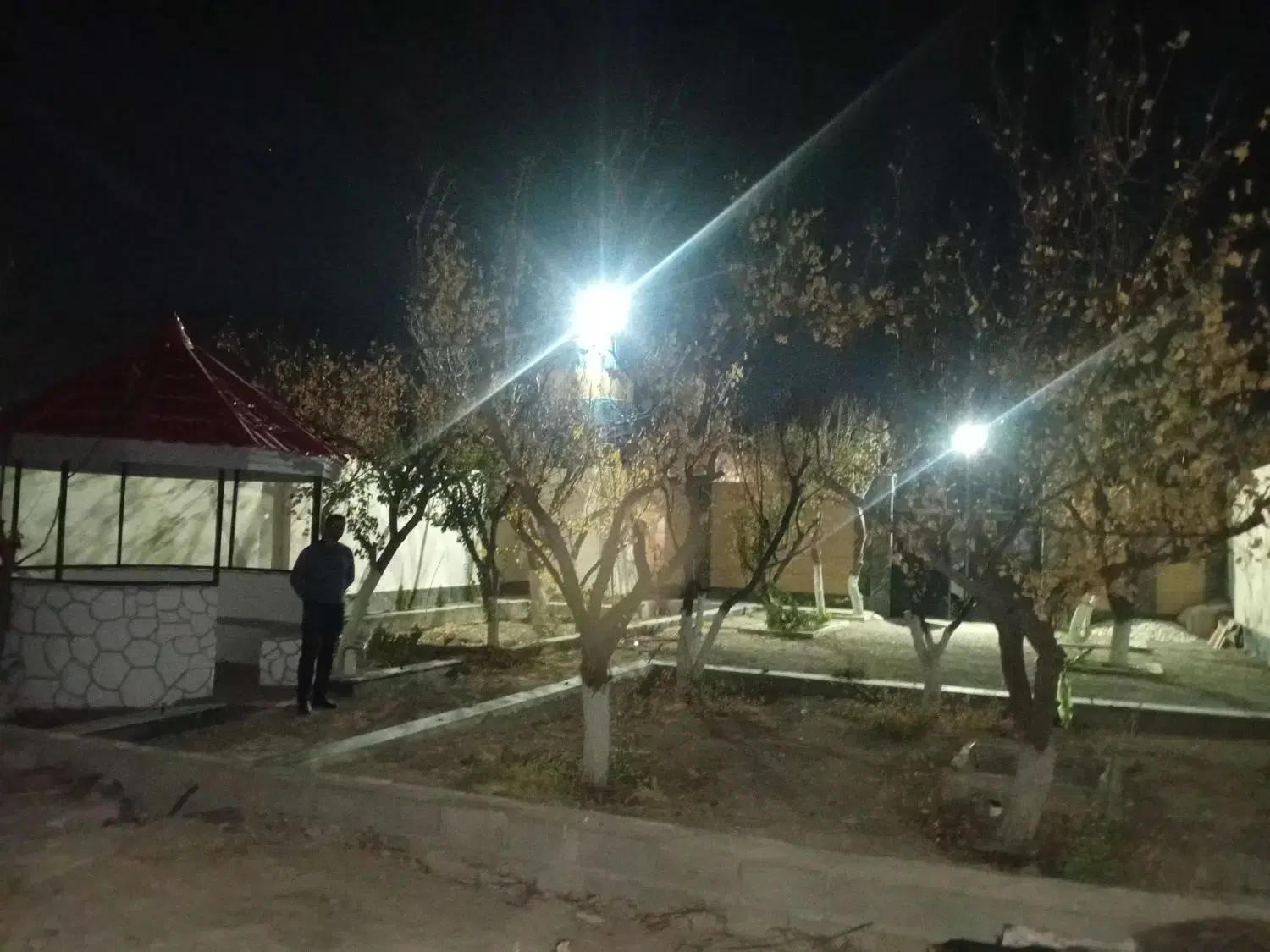 باغ چهار دیواری