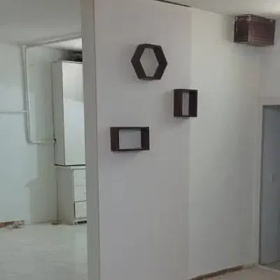 همخانه خانم
