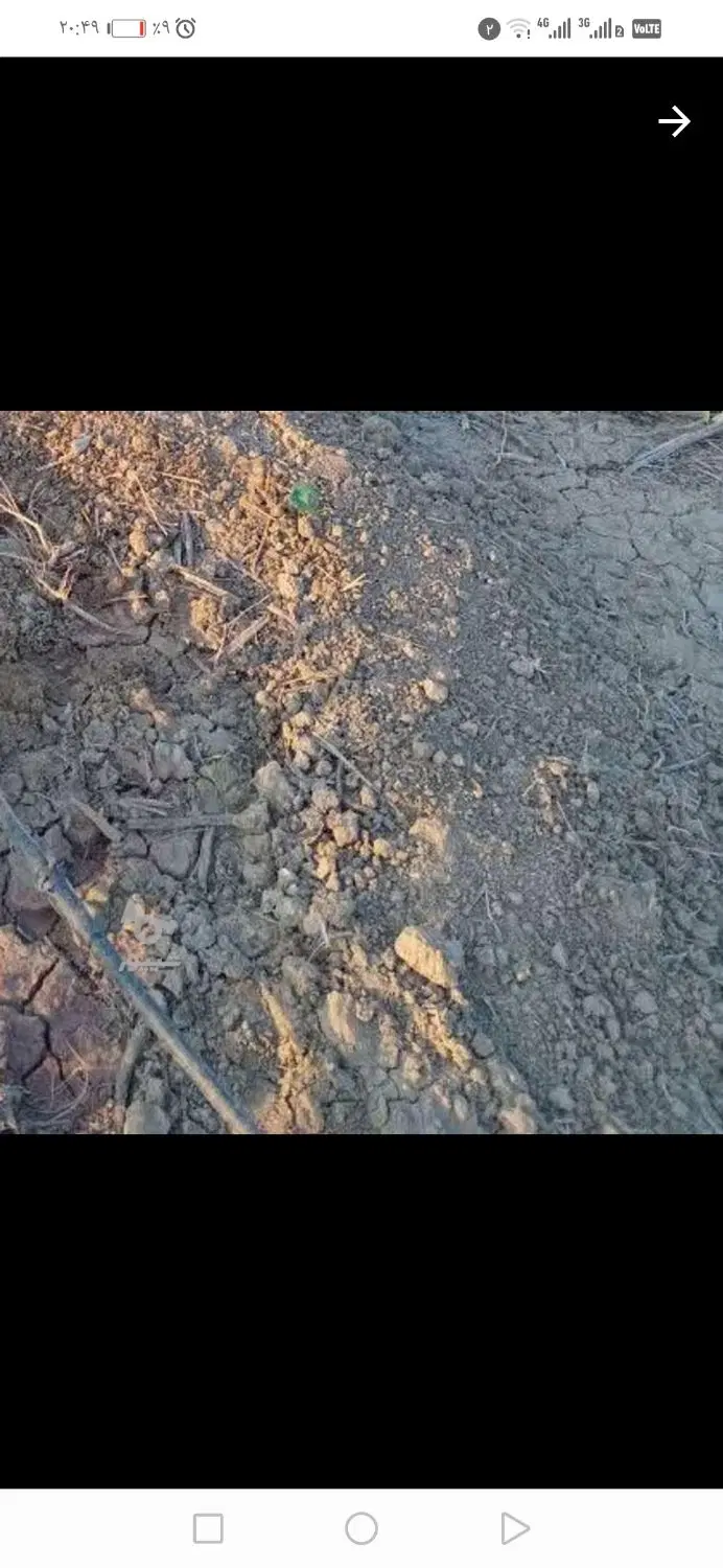 زمین کشاورزی