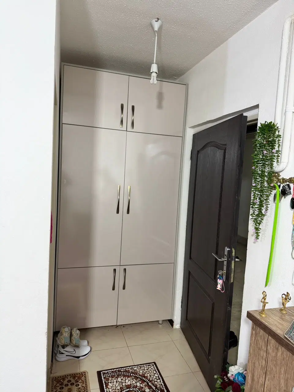 پردیسان کاج