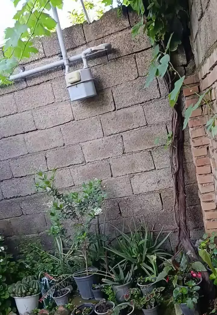 خانه ویلایی