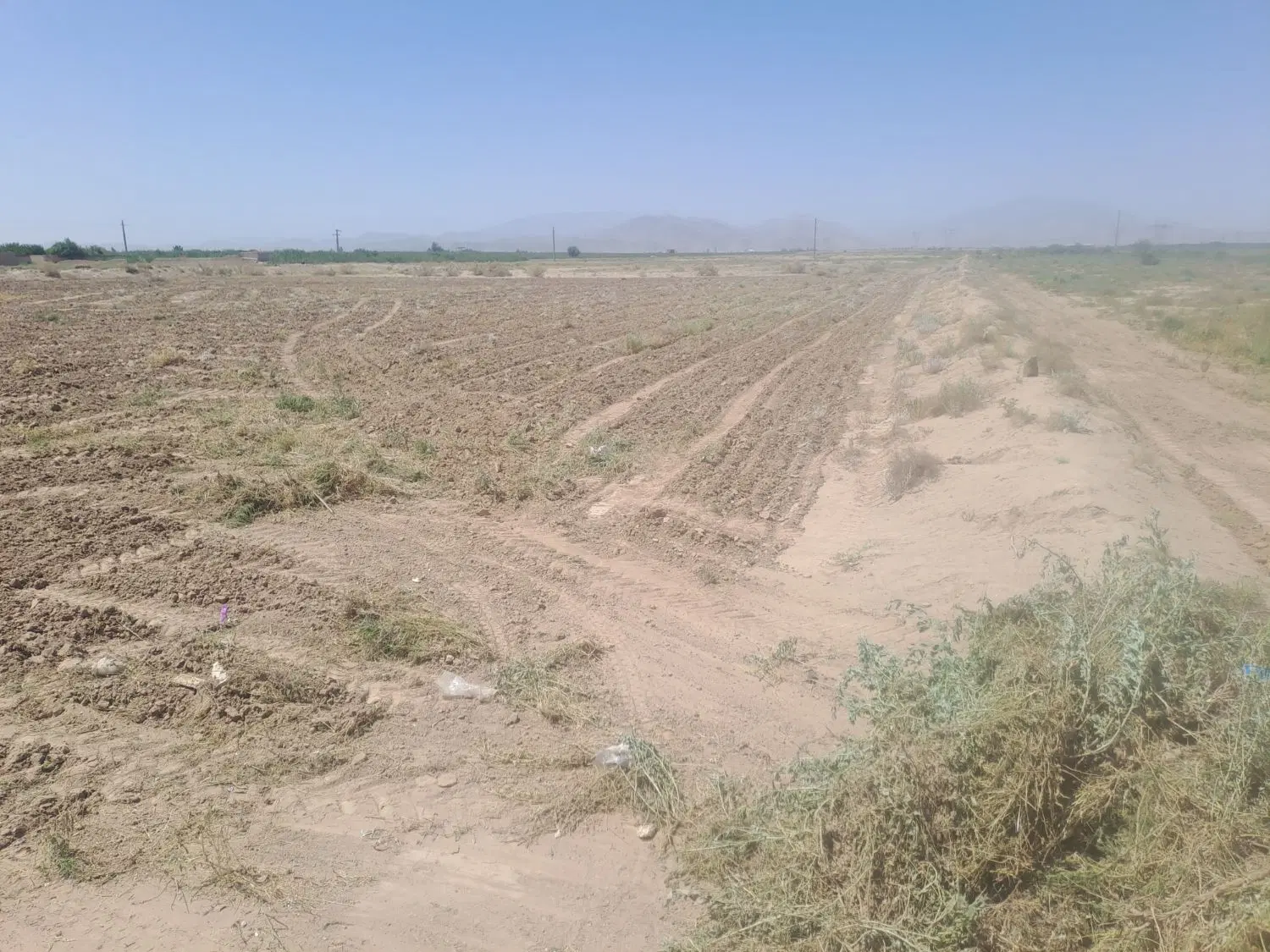 12.5هکتار نزدیک کمربندی شیراز زیر مکی آباد