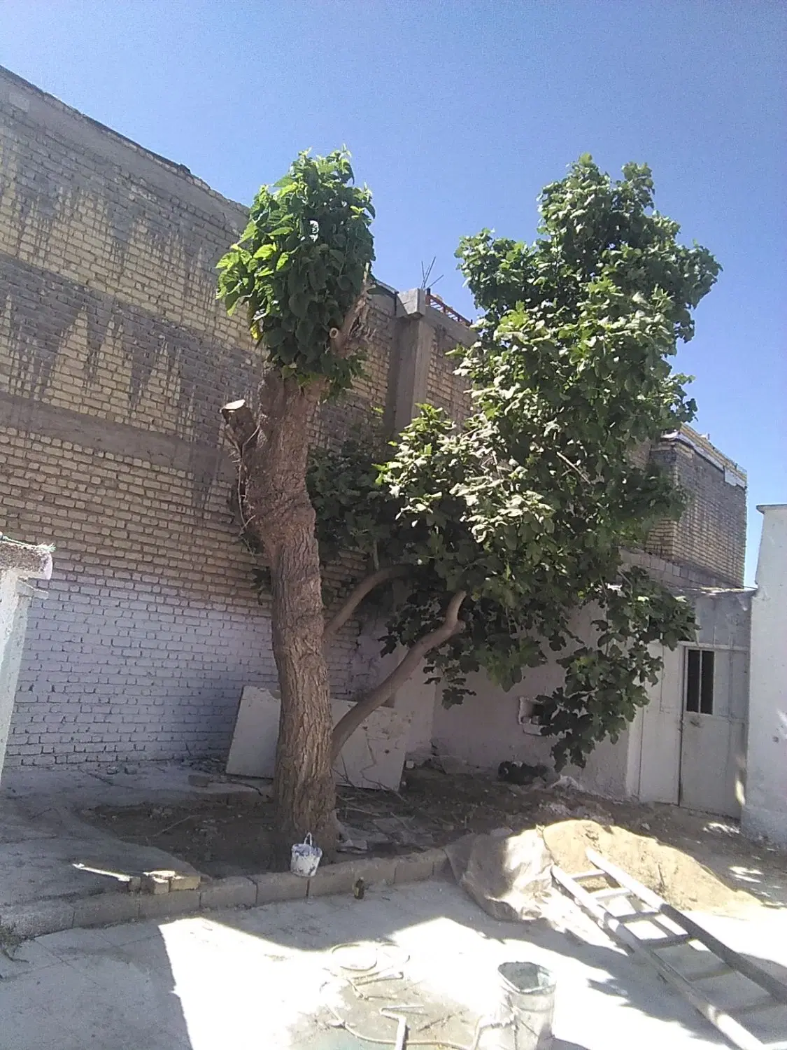 خانه یامنزل ویلایی فروش