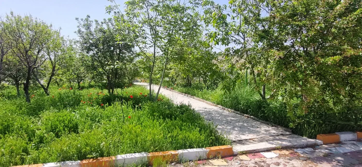 زمین ۲۲۴ متری حافظیه