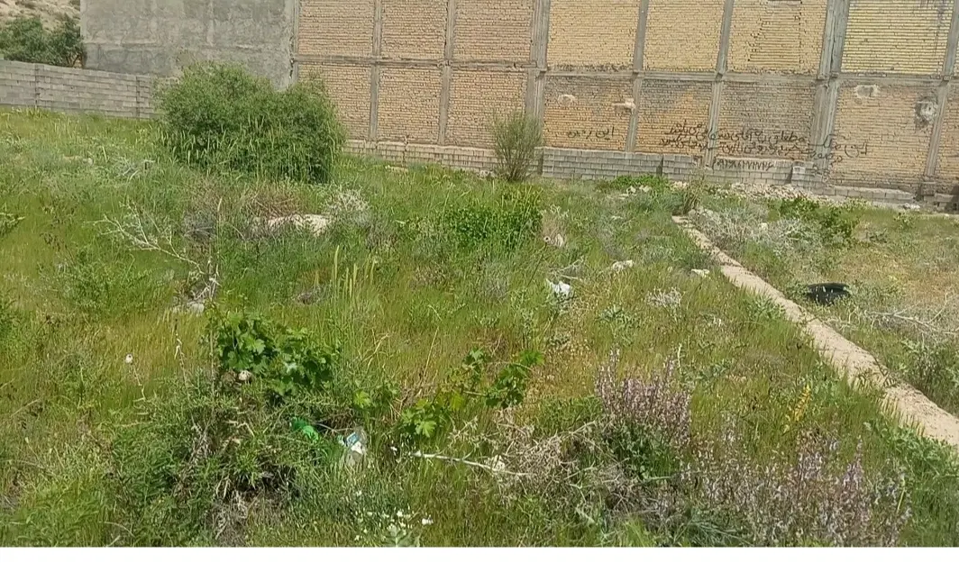زمین مسکونی قلات
