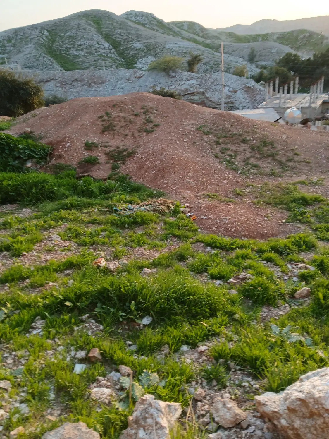 زمین