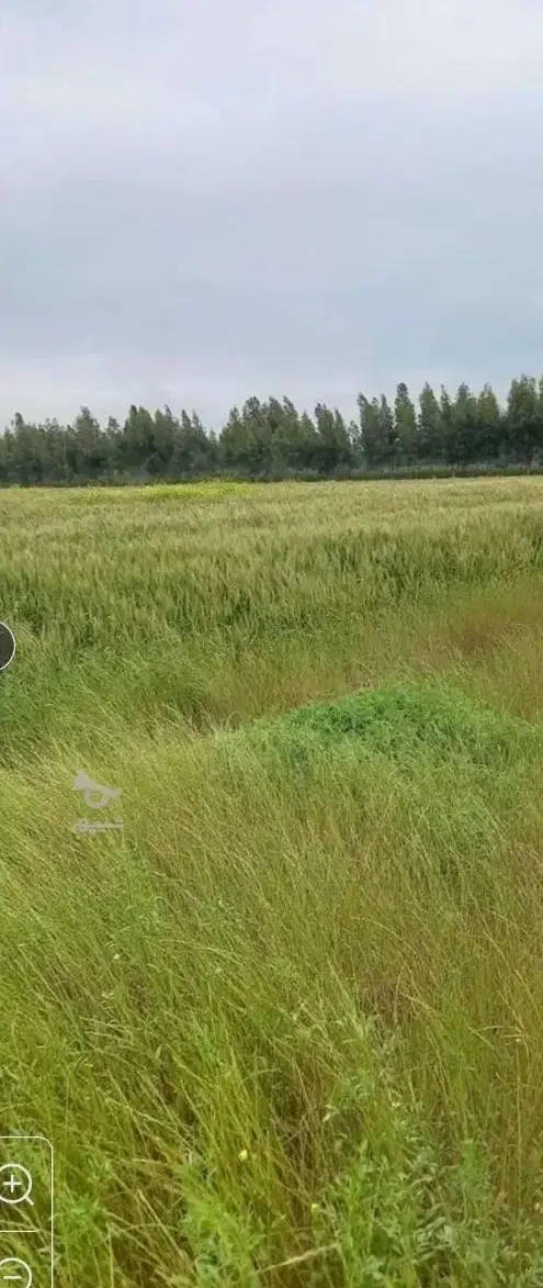 زمین کشاورزی خشککاری ۵هزار متر واقع صحرای رکاوند