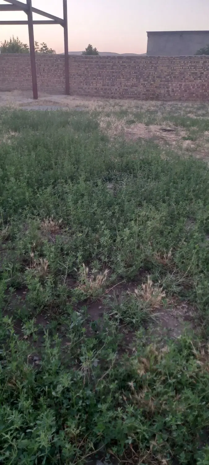 فروش زمین مسکونی در روستای کارخانه