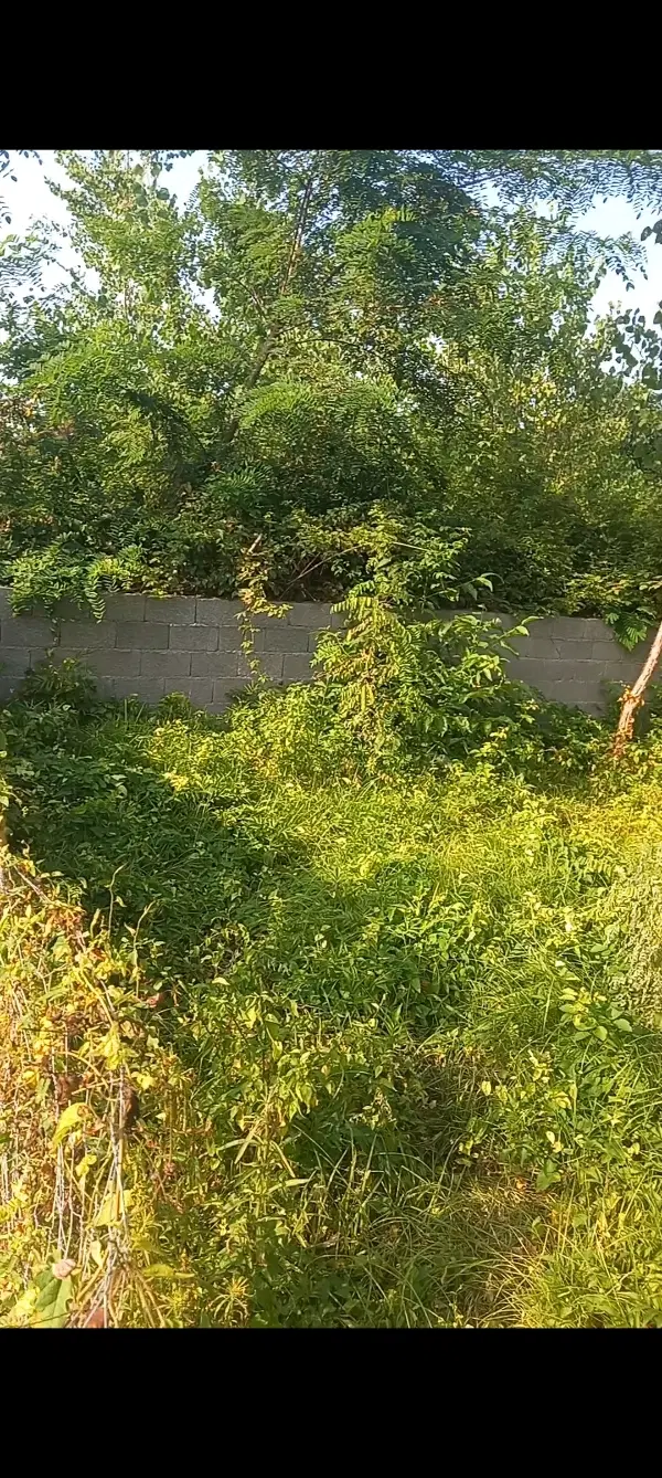 زمین مسکونی
