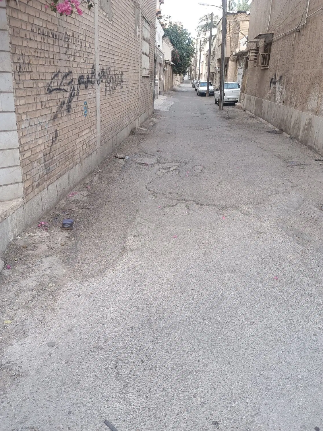 زمین زرگان