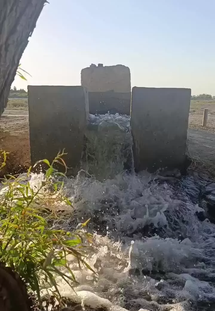 ۵۰۰ متر باغچه _ شترخوار