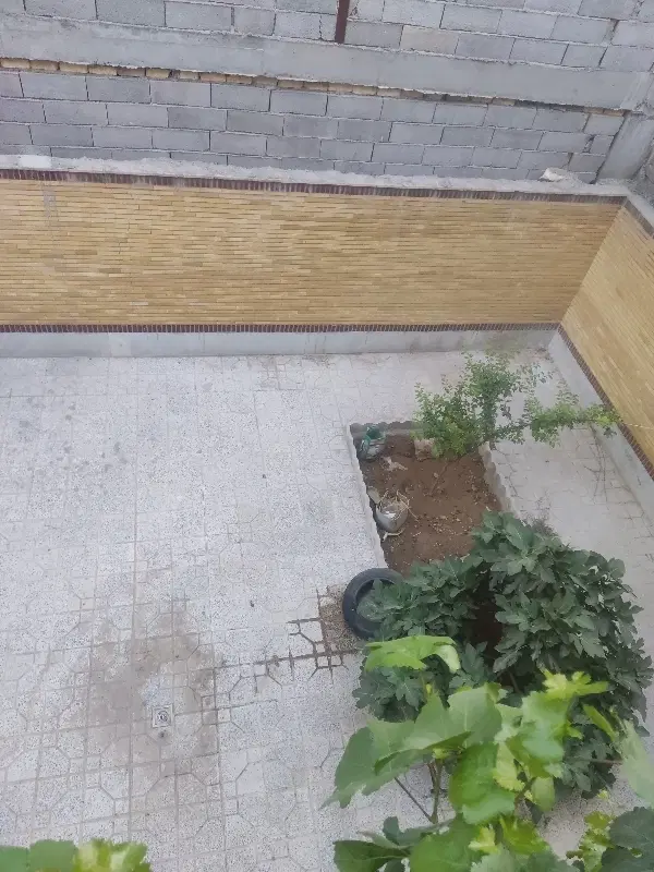 رهن و اجاره همکف سرچشمه ها