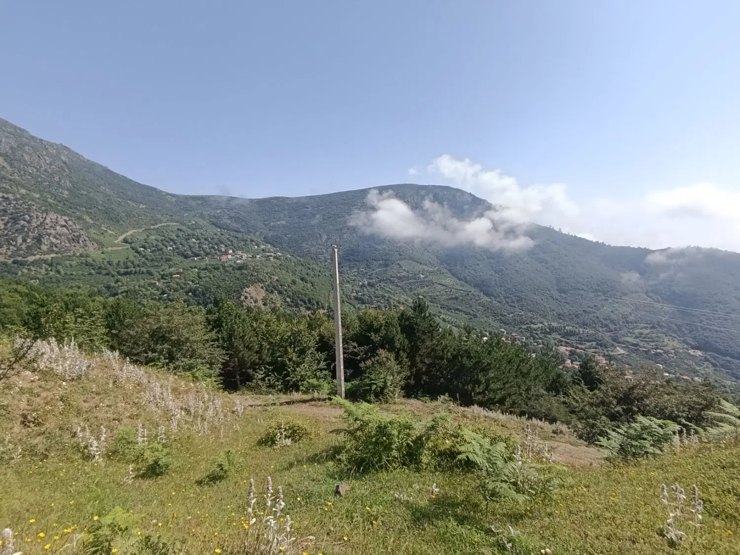 فروش زمین جواهرده .نمد مالان