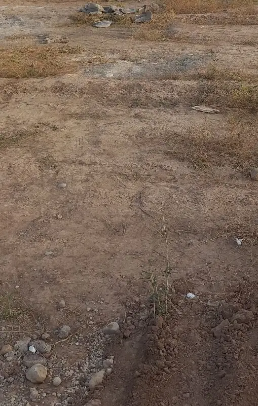 ۸۰ متر زمین مسکونی در  روستای سنجر