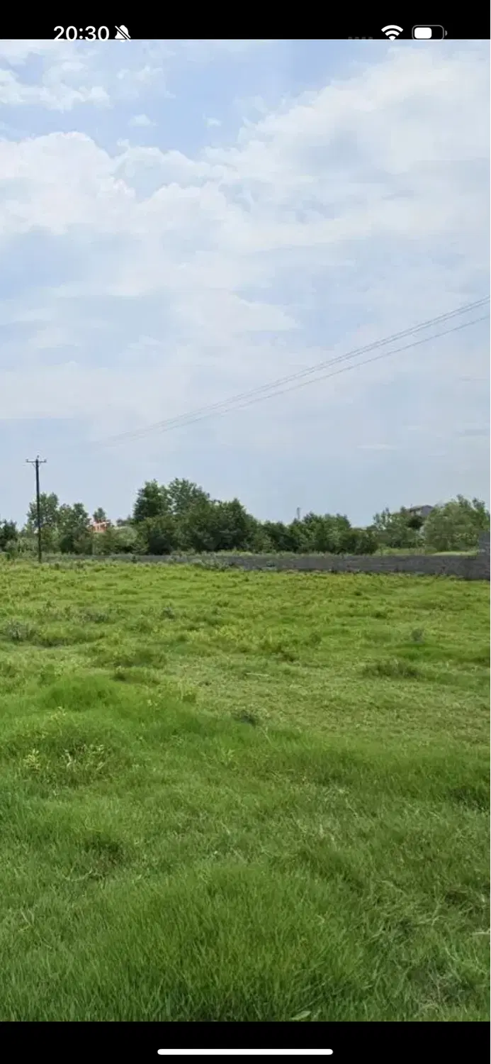 زمین