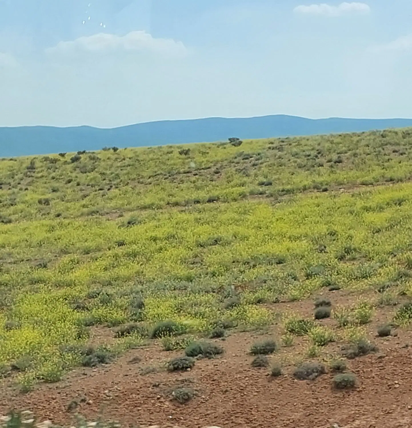 زمین بنیاد مسکن