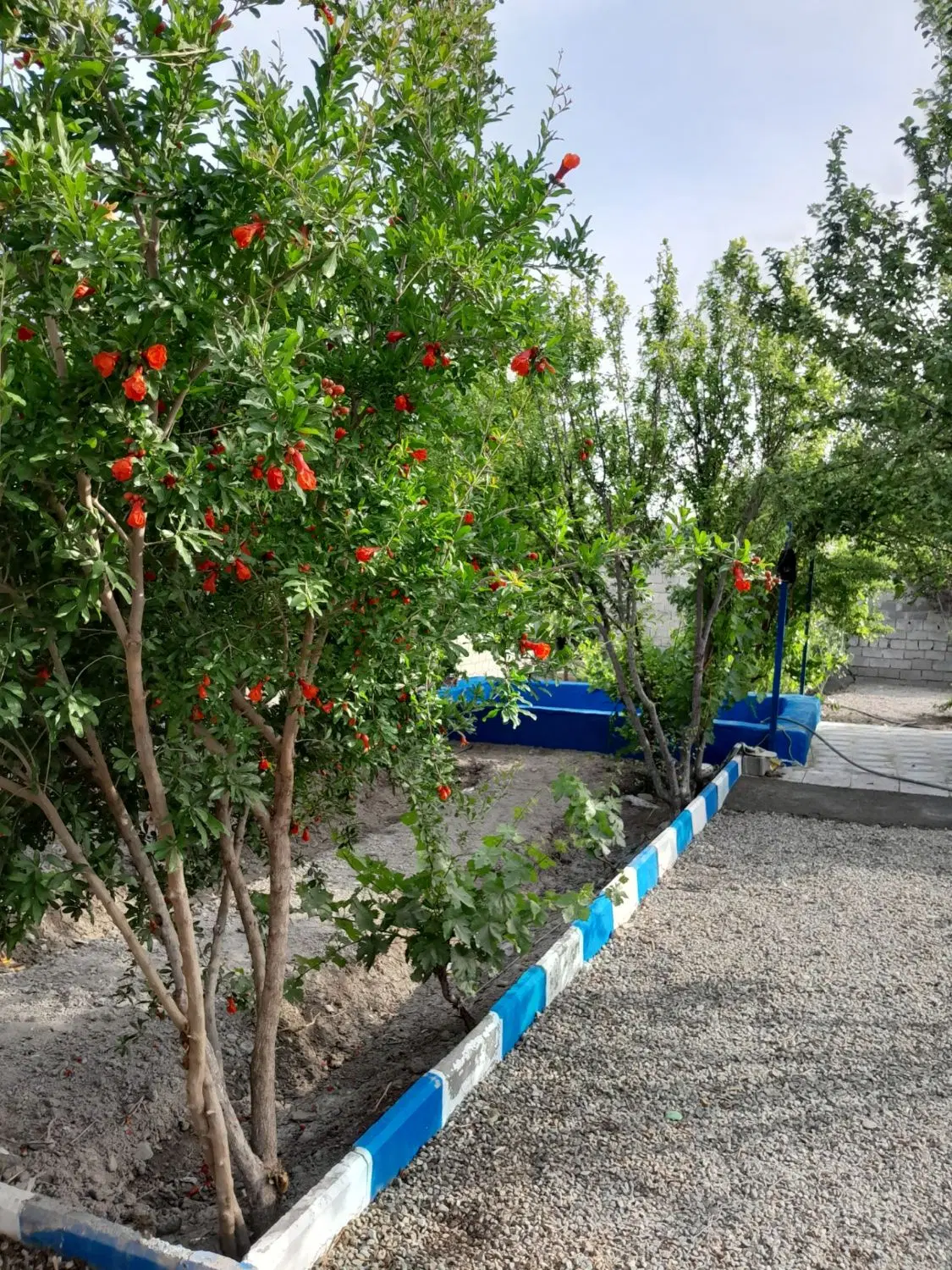 باغچه ویلای ۳۲۰ متری