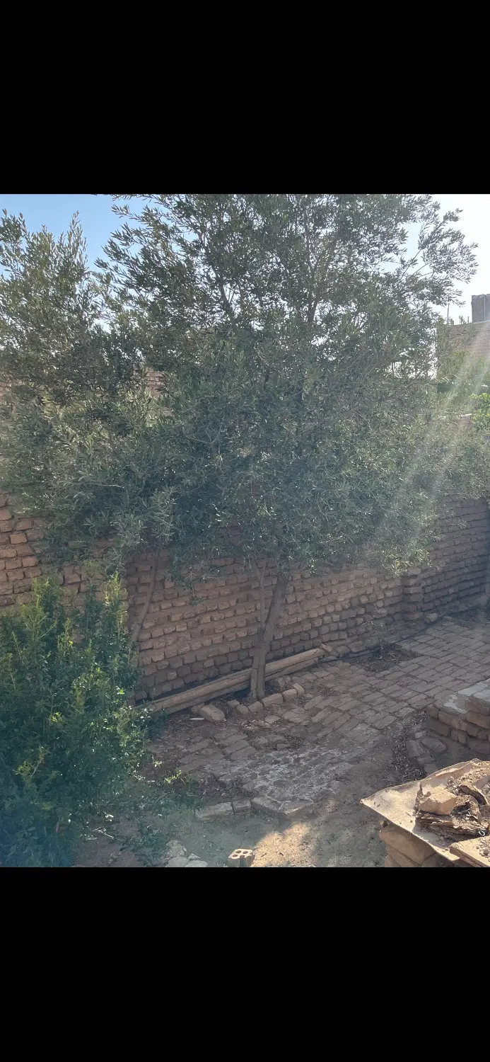 خانه ویلایی