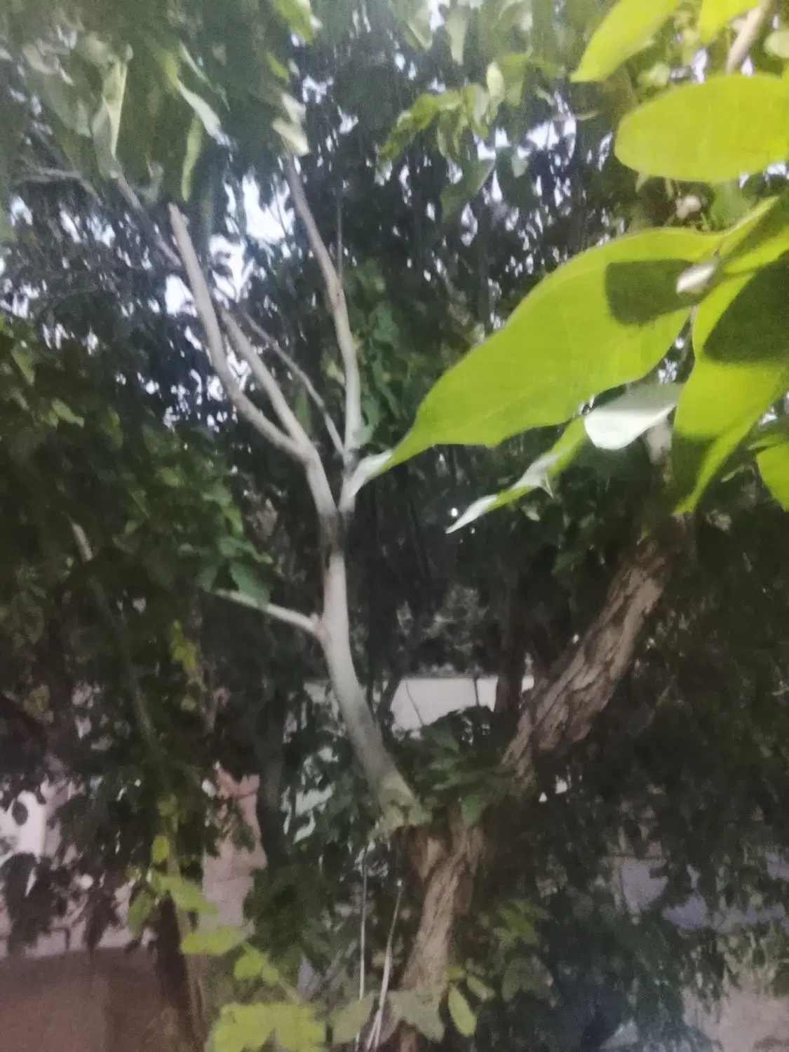 210مترزمین خیابان اصلی روستای حاجی بیک